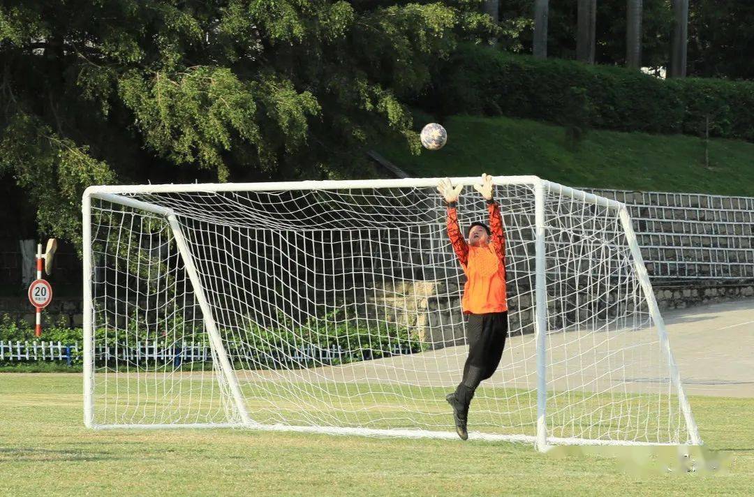 包含欧洲球员风采赛场，精彩瞬间引人入胜的词条