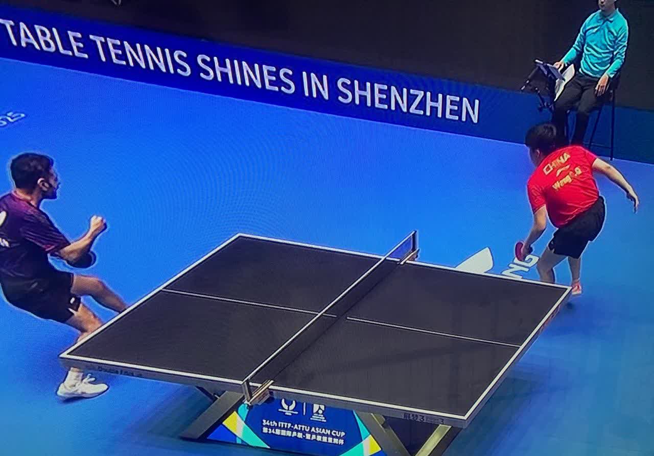 拳击比赛：伊朗选手获得冠军头衔