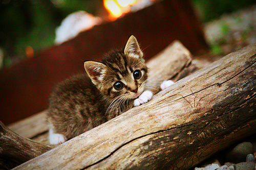 不只是击败韩国，三笘薰用一场非典型胜利重写亚洲足球叙事