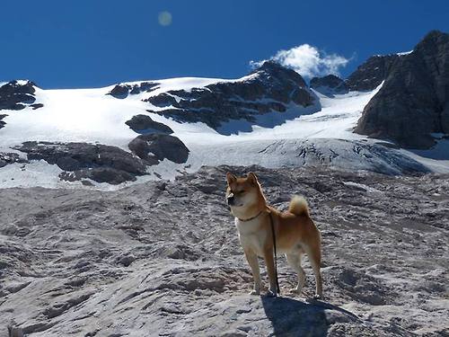 武切维奇单节狂轰20分！雄鹿第三节一波流击溃步行者