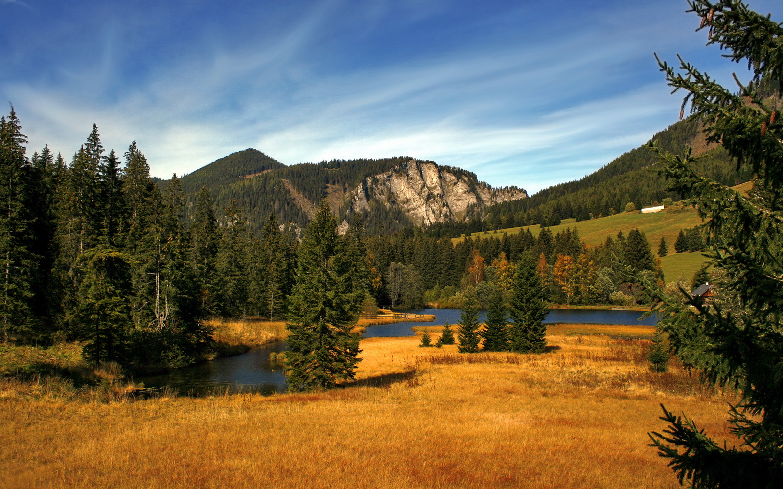 开云体育平台APP-保罗14记穿心箭射穿辽宁！中国冠军防线遭NBA控卫之神肢解