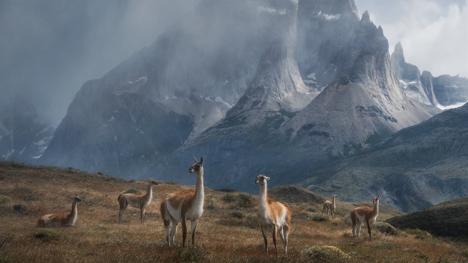 开云APP-摩纳哥街道赛，战术压制下的巅峰对决