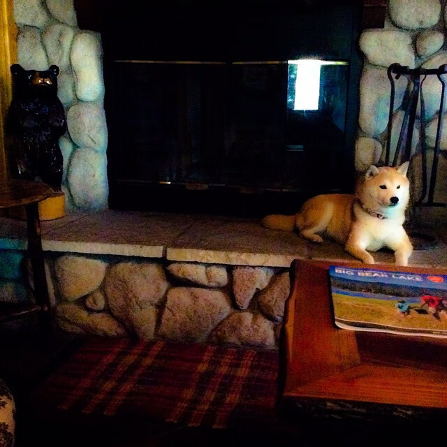 哈兰德点燃赛场，伊朗与葡萄牙激战中的非凡火花