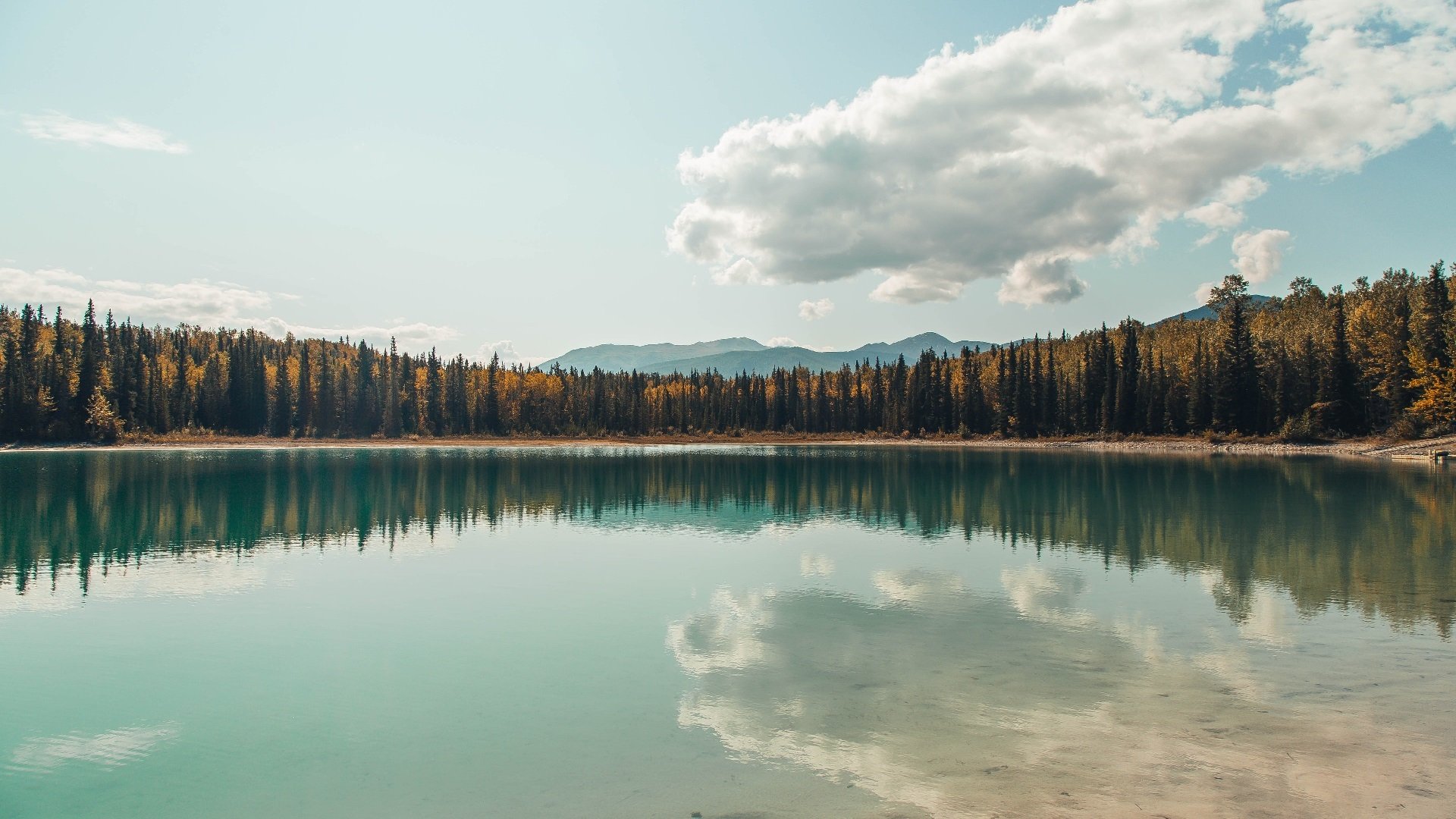 开云APP-恩比德末节统治攻防，新疆鏖战力克浙江夺赛点