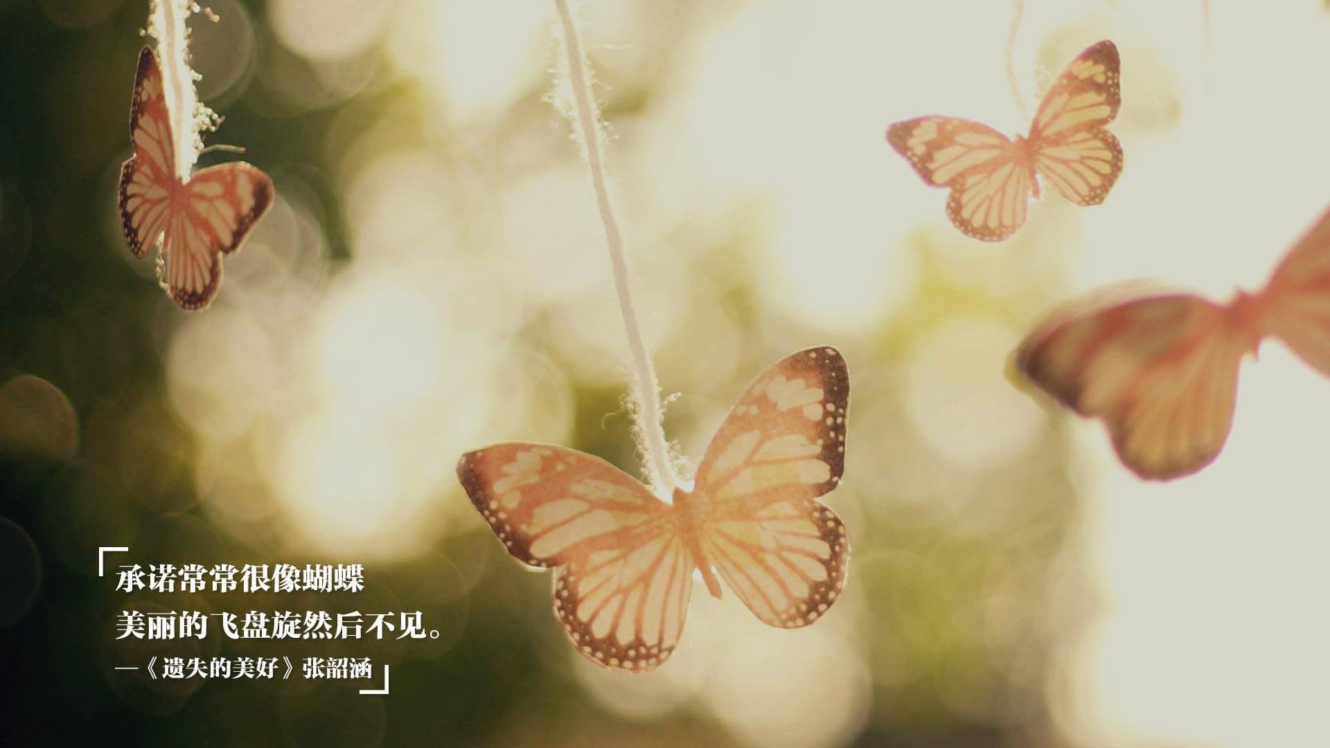 开云体育APP下载-塔图姆进攻端无人可挡，老鹰大胜上海队