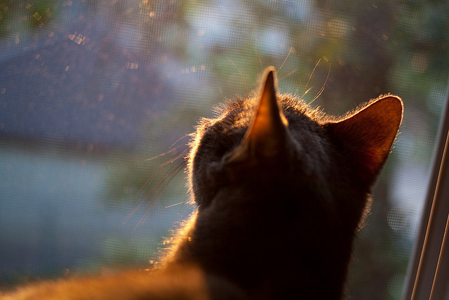 冷焰灼人，挪威无名之辈如何让拉齐奥在寒夜中颤栗，斯通斯为何是关键先生？
