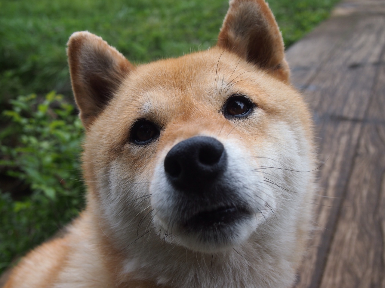 -NBA总决赛级别对决！广东队狂胜深圳队，CBA半决赛意外一边倒