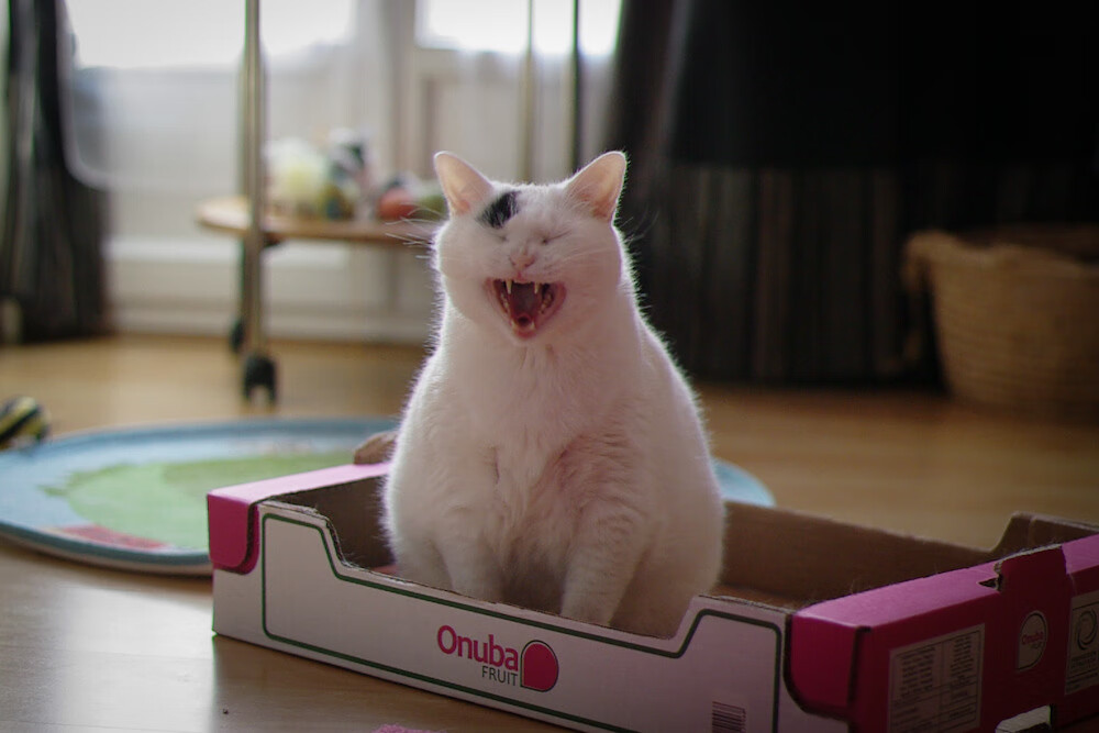 阿克惊天爆发！墨西哥第三节狂潮击溃摩纳哥