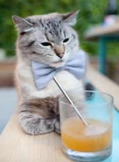 当岩石学会弹琴，克罗地亚式粉碎与门将节奏革命的交响