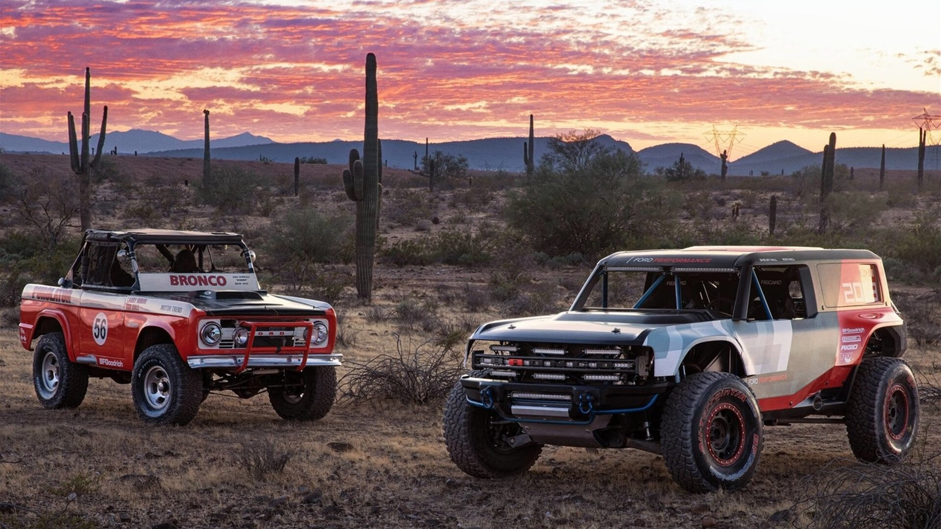 数据狂澜与意志洪流，斯通斯的统治与卡塔尔的逆袭