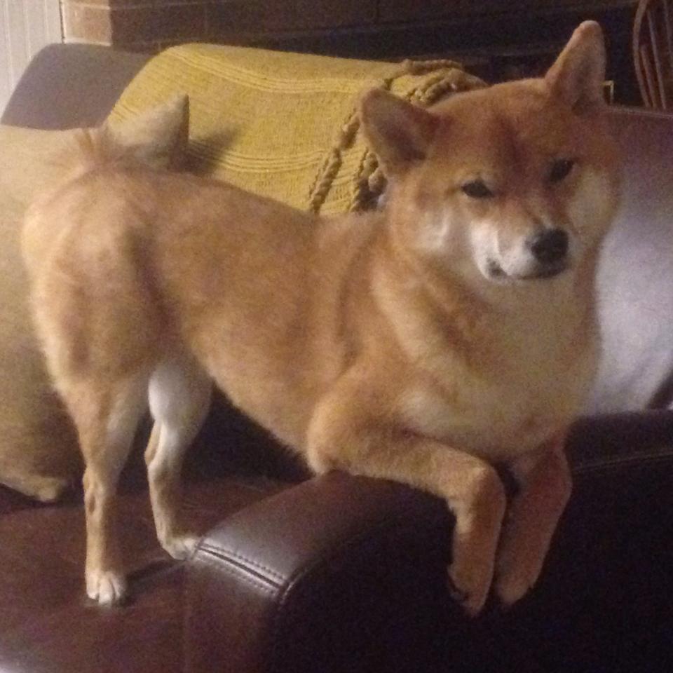 老将的黄昏，时代的哨音，当C罗失点映照莫德里奇168场的坚毅